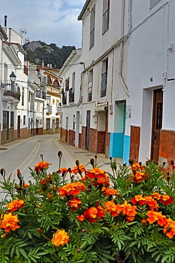 Hostal Moncada Gaucin Bagian luar foto